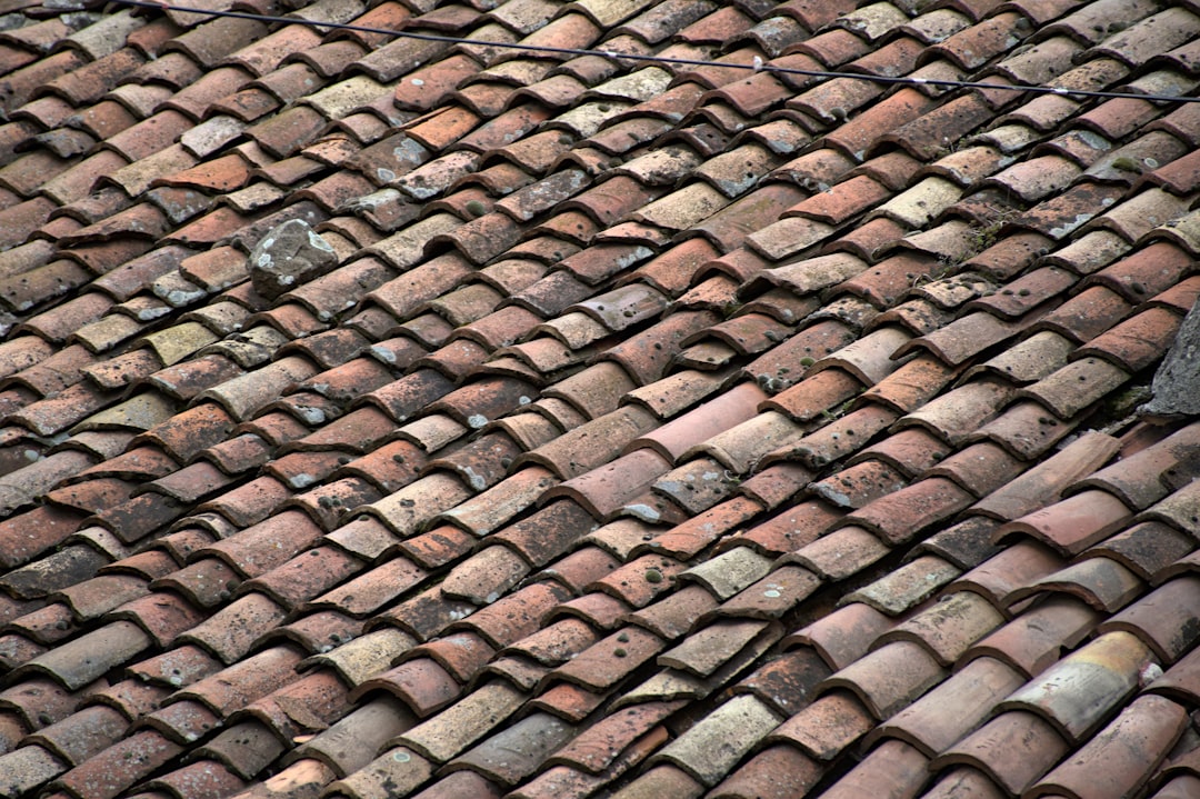 Expert Residential Roofing Contractors Houston Trusts for Quality Work