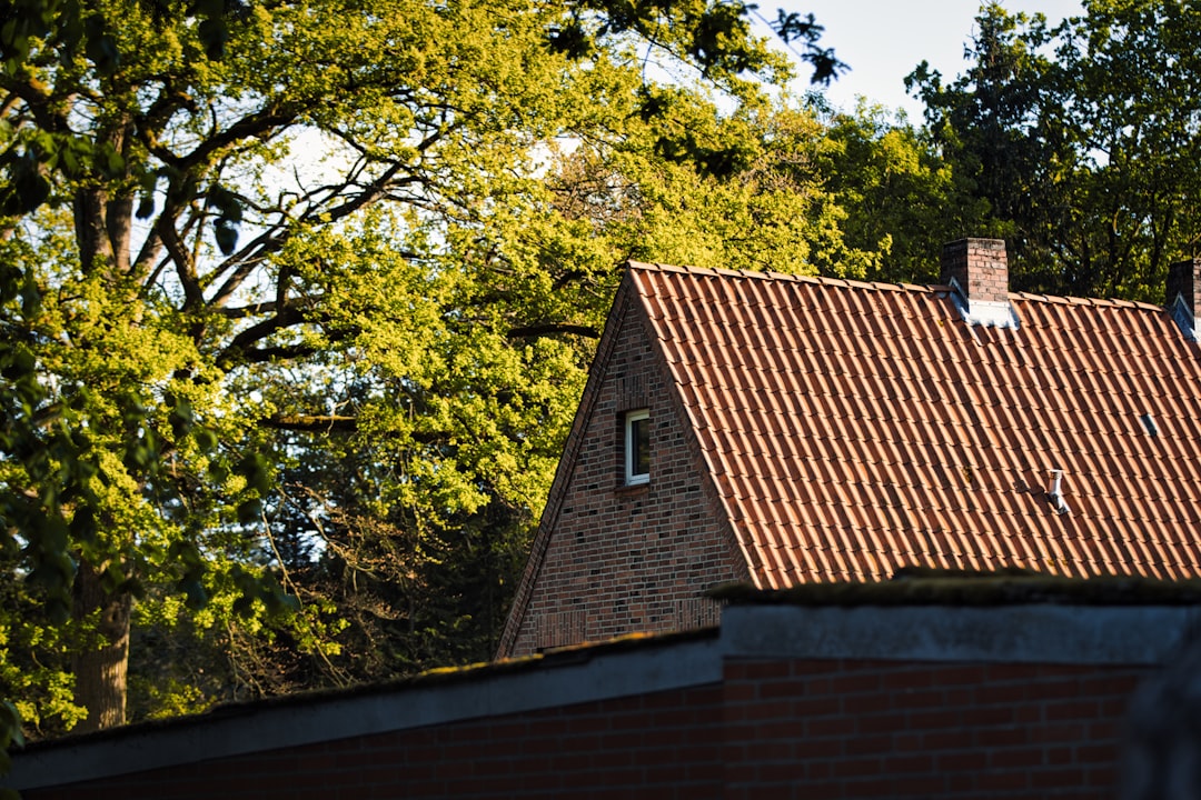 Dependable Residential Roofing Service Bellaire Homeowners Love